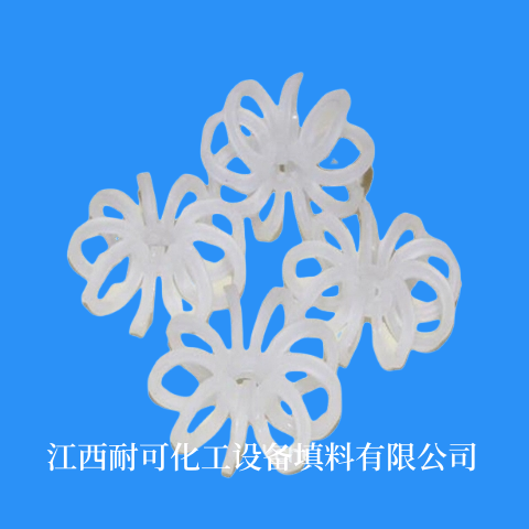 无边花环 菊花环